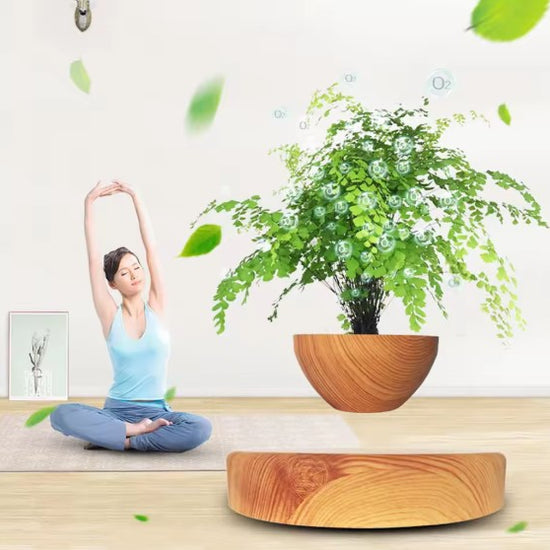 Floating bonsai with magnetic levitation, and woodgrain base for modern home décor.